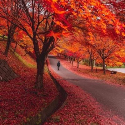 malikadel6's tweet photo. #صورة_جديدة_للملف_الشخصي https://t.co/gjsM7ooaCY