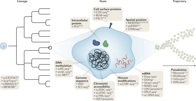 GreekGirlsCode's tweet photo. Single-cell sequencing was  @naturemethods #methodoftheyear in 2013. Today, we have dozens of #singlecell technologies that can profile multiple aspects of a cell's identity at once... Read this excellent review from the @satijalab for more ➡️
https://t.co/c0ztA7MWrm https://t.co/xSe09ad3Kv