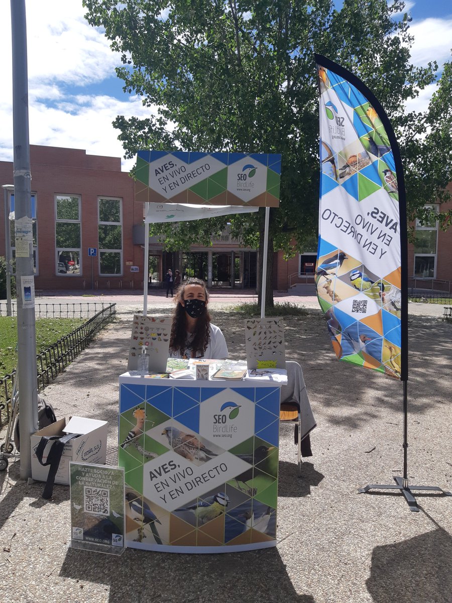 SEOAlectoris's tweet photo. Seguimos frente al @BotanicoUCM 🌿 un día más, hasta las 14:00. ¡Los pines se agotan y las papeletas de socio también! No dejéis de acercaros 🐥 para conocer las aves del campus #AvesEnVivoyEnDirecto https://t.co/W7Kfz2H4fS