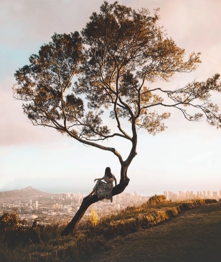 reynamadelayne's tweet image. "No pierdas de vista las raíces, los cimientos, las bases... Todo lo que no se ve es lo que nos sostiene."
#FelizJueves