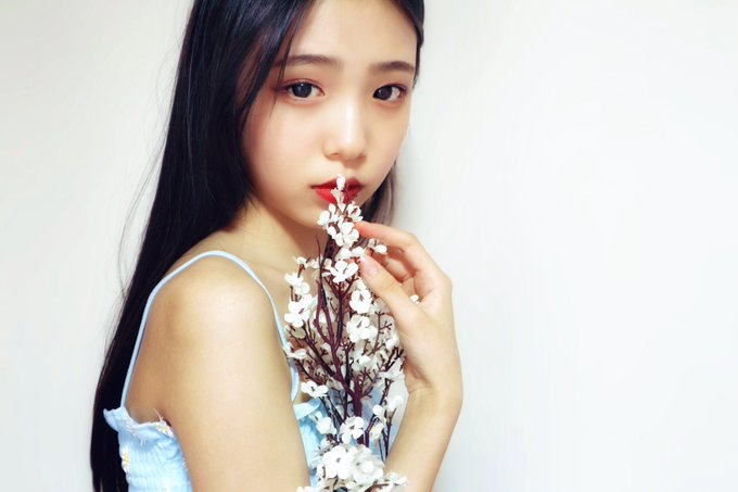 noaのTwitter画像1