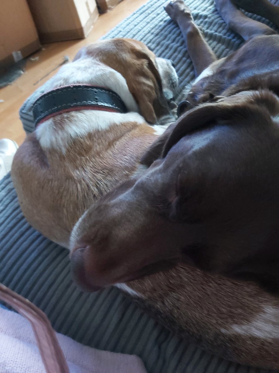 Torranbrown's tweet image. 