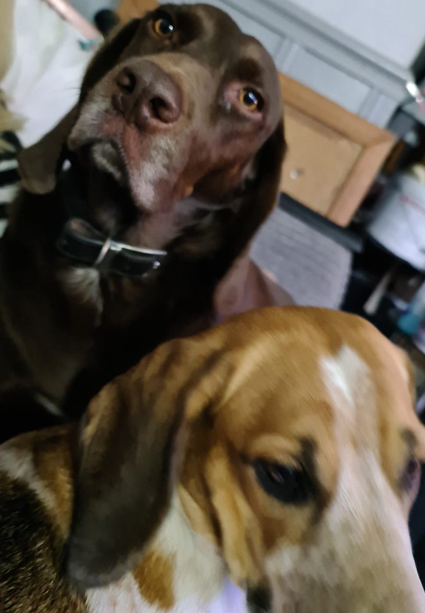 Torranbrown's tweet image. 