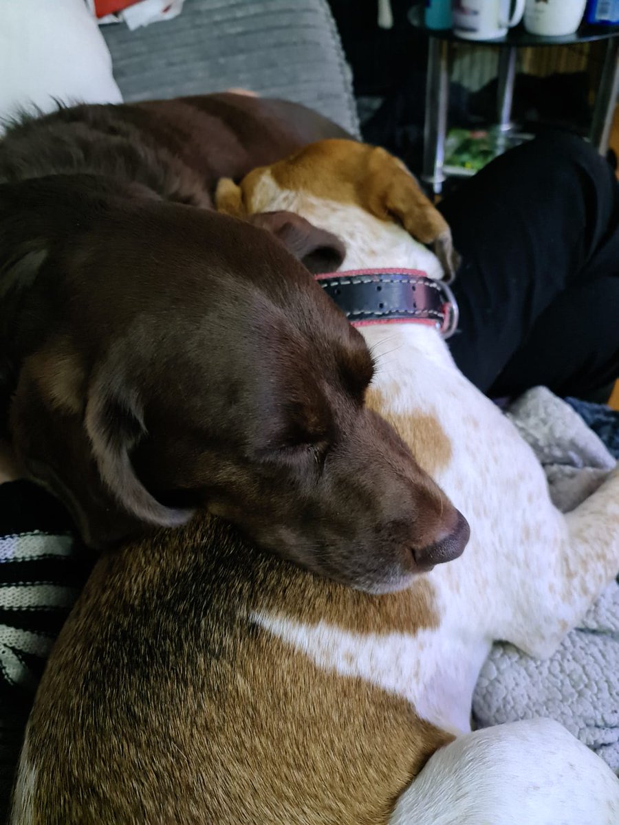 Torranbrown's tweet image. 