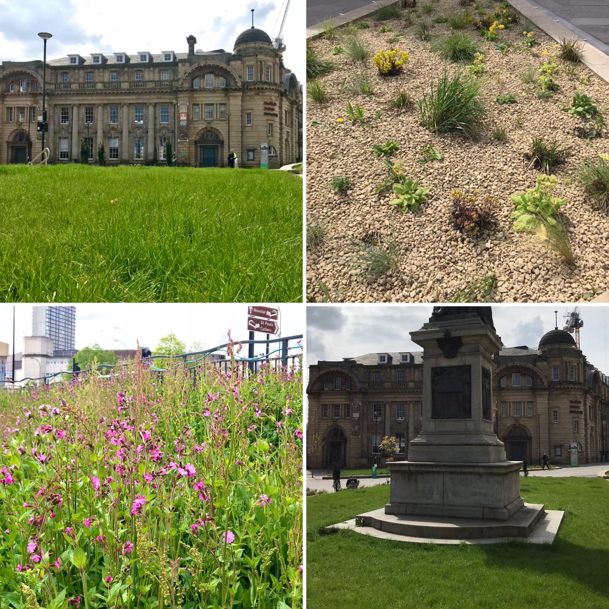 rbateman's tweet photo. Urban garden at the centre of the city #HallamOutdoors @HallamStaff great for the city soul @ArtandDesignSHU ♥️ https://t.co/sFSyrDaPA5