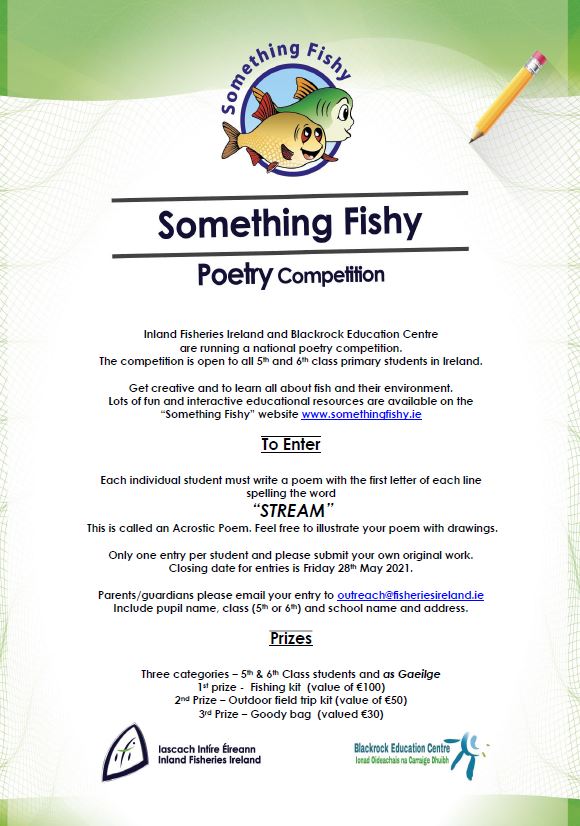 Inland Fisheries Ireland tweet media
