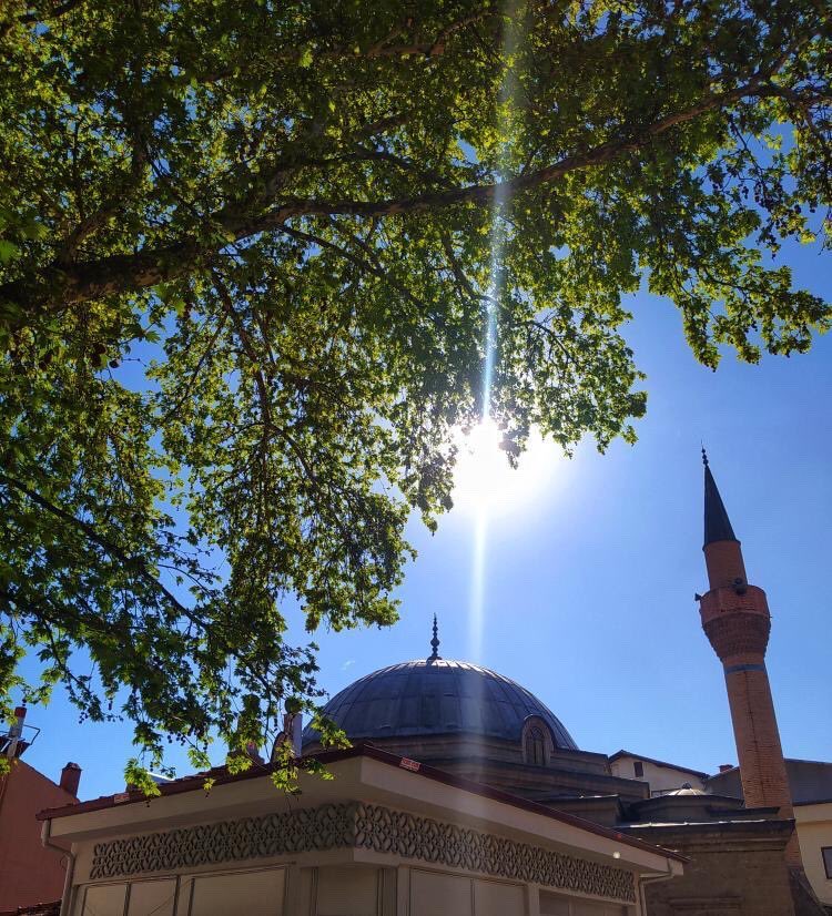 Bayramımız bayram ola göze Davşannı’m 🥰