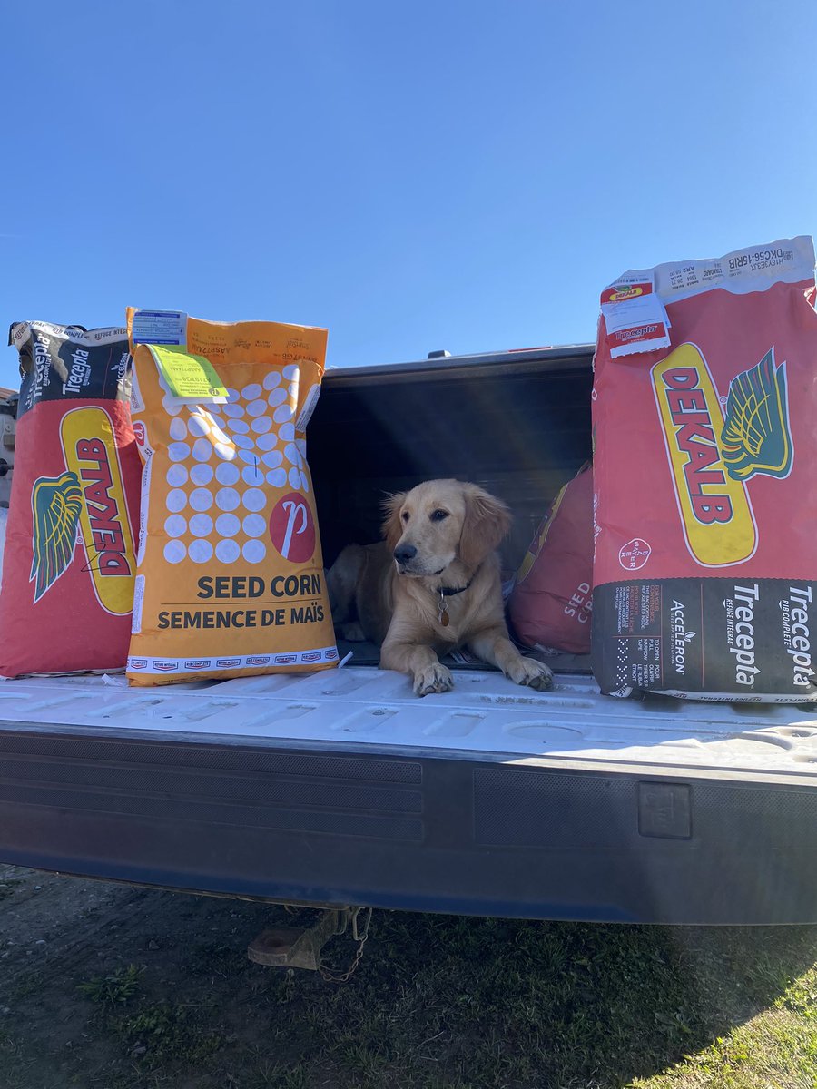 dclark_44's tweet photo. Plot day at home this morning!  Cooper is excited to see how the new Trecepta hybrids will perform on sand. https://t.co/0SjLj20CXB