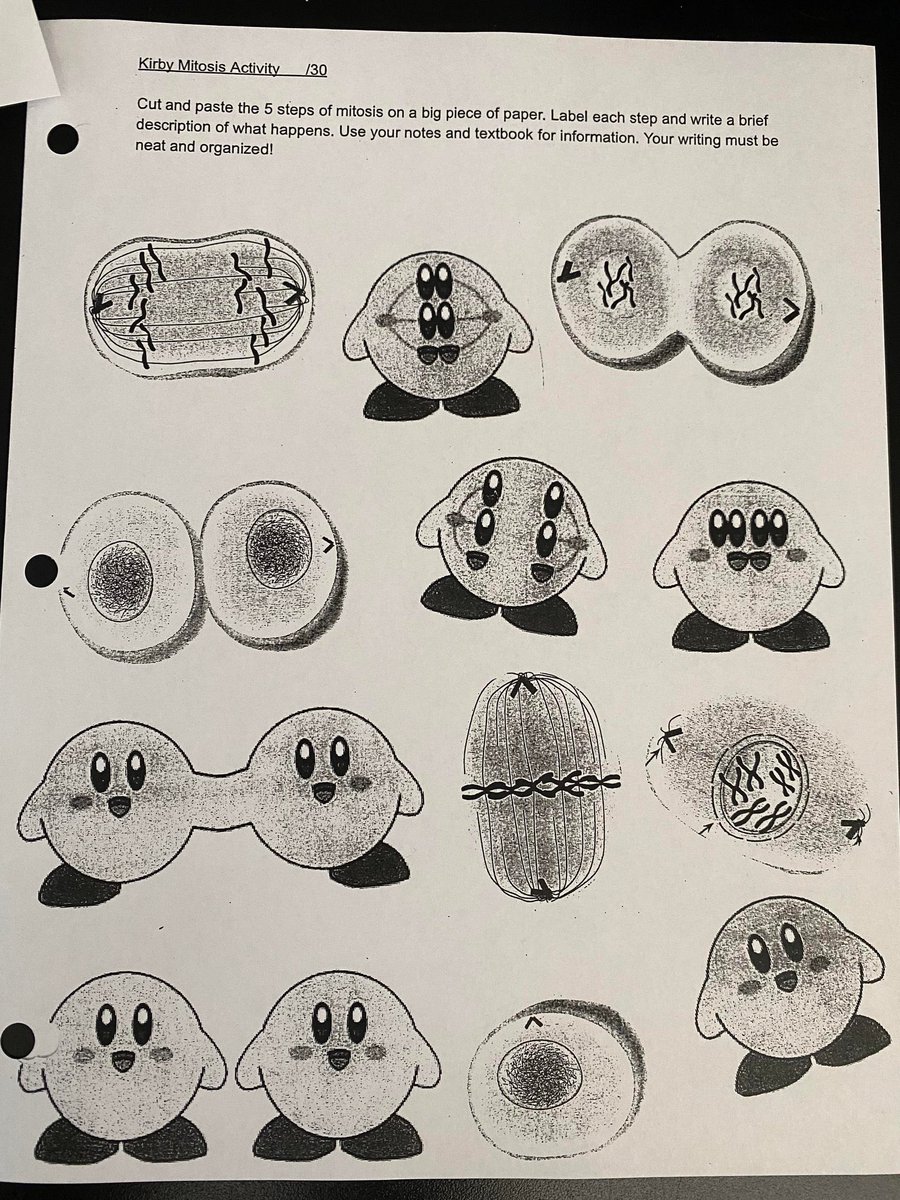 Science Diagrams that Look Like Shitposts (@scienceshitpost) on Twitter photo 