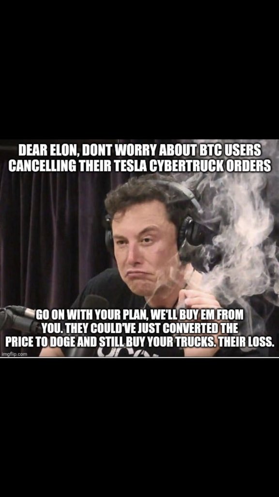 TervoortTay's tweet photo. @elonmusk 🐶👌 https://t.co/CTD5DlZbK5