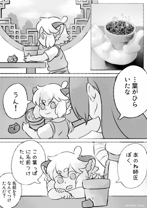 9日目。葉が開く。
#小黒クローバー育成日記
複雑な心境だけど言葉にはしない无限。 