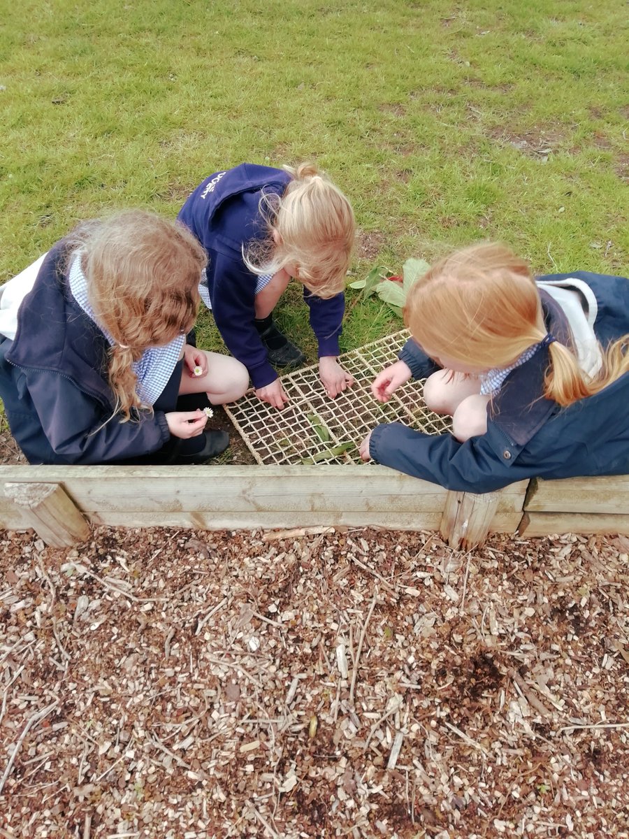 Sherborneprep's tweet photo. Mrs Berry's class have been weaving natural objects outside as part of this week's @mentalhealth Mental Health Awareness Week. What a lovely activity! #spspreprep #spsyear2 #spscare #spswellbeing #spsstrongcitizens #spssupport #seizetheopportunity #nature https://t.co/ADbQEt6vvR