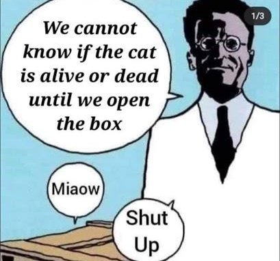 Daniel Probst @skepteis@skepteis.social (@skepteis) on Twitter photo 