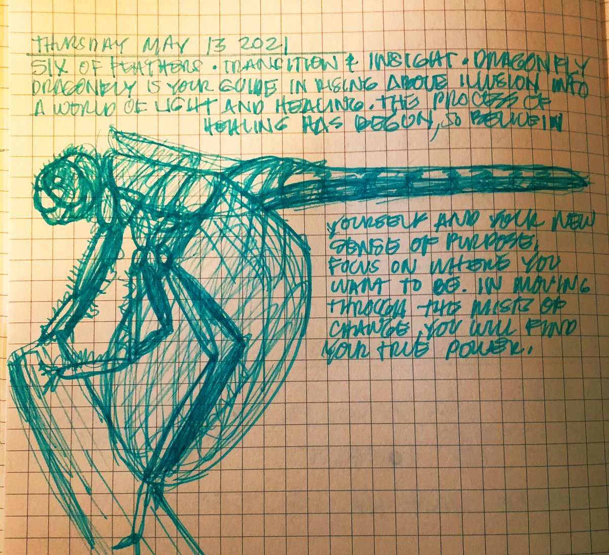 Six of Feathers • Transition &amp; Insight • Dragonfly 
Dragonfly is your guide in rising above illusion into a world of light and healing. #dragonfly #spiritsongtarot #healing #light #motion #insight #sketch