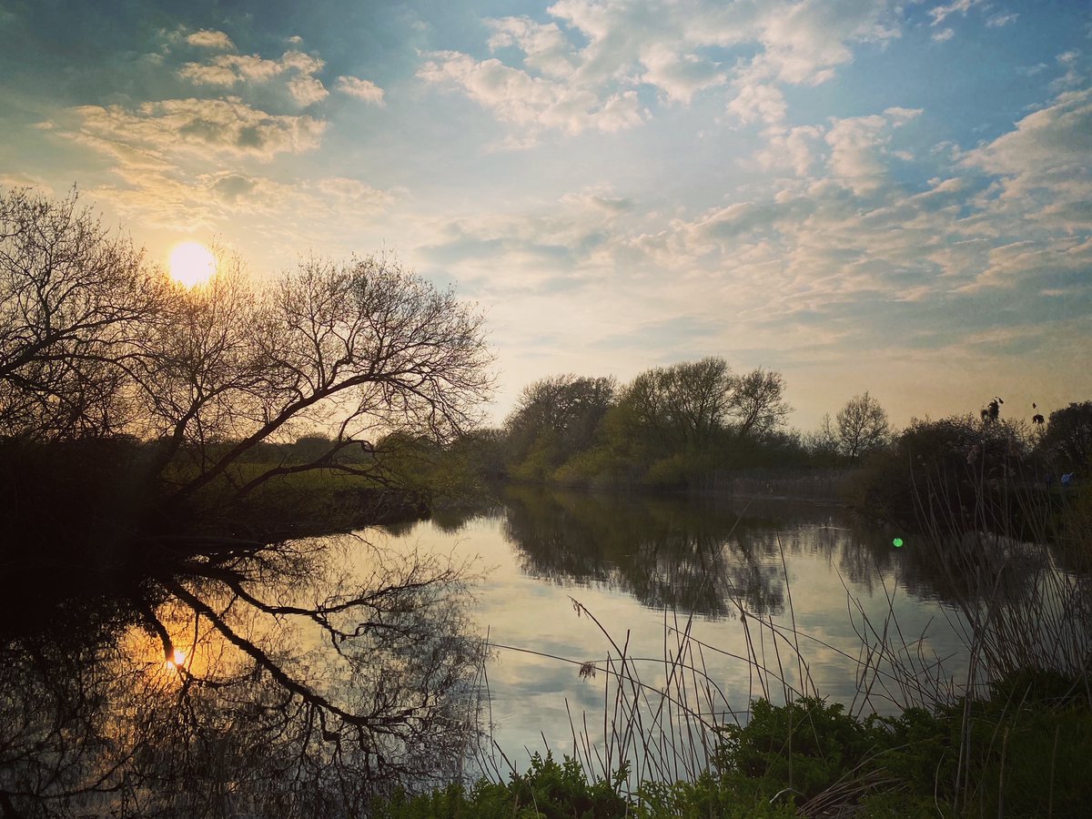 CommsUnplugged's tweet photo. "... Life in these hidden worlds is more startling in reality than anything we can imagine. How could this earth of ours, which is only a speck in the heavens, have so much variety of life, so many curious and exciting creatures?β
- Walt Disney
#MHAW #MHAW21 #UnplugwithNature https://t.co/Xk1DLxq84a
