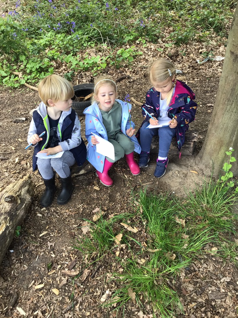 NRoyalpark's tweet photo. This week at forest school we went on a bluebell hunt! We used binoculars and magnifying glasses to help us spot them. We then took turns in drawing our very own bluebell flower pictures! https://t.co/iViywc5Ump