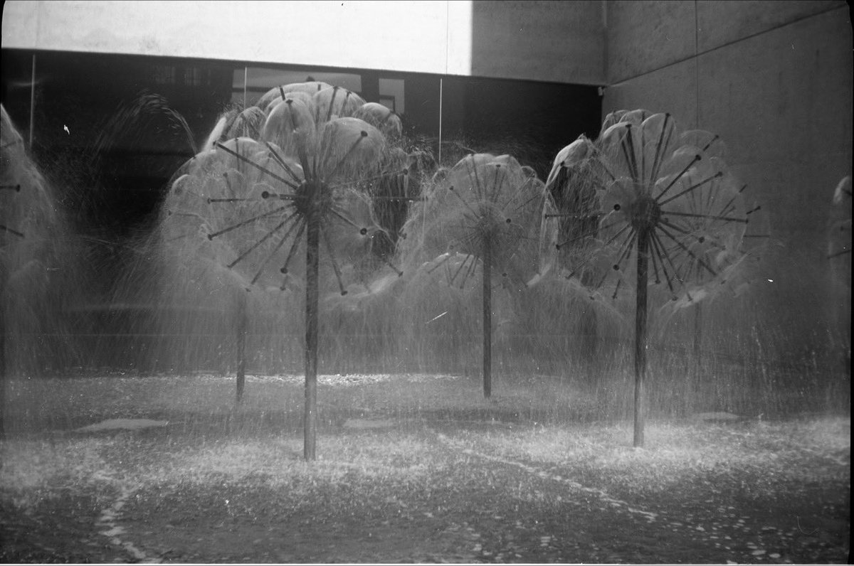 lindellsnr's tweet photo. Recently developed roll of FP4 taken with one of my #BrownieCamera No.2's in 2018 - 1. Sydney Building, Canberra; 2. Brisbane (gallery I think); 3. Brisbane skyline; 4. The Wheel of Brisbane.
This also confirms I need to take notes! #believeinfilm https://t.co/Zc5PW6wbF3