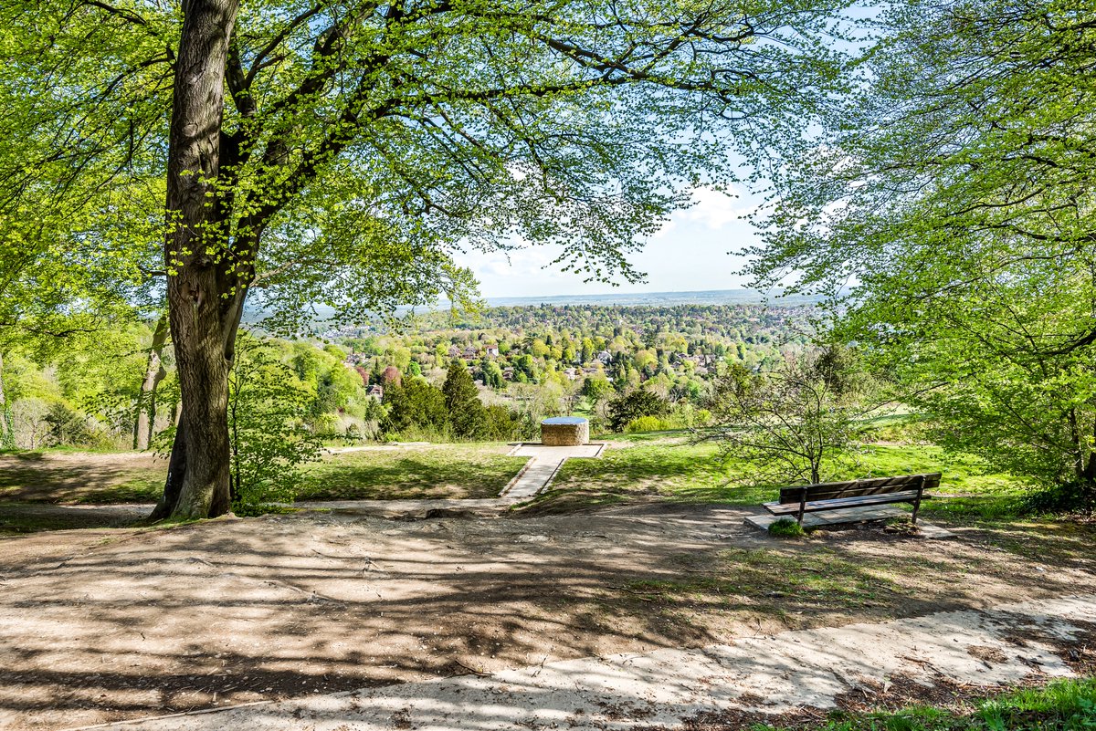 Andrews Reigate tweet media