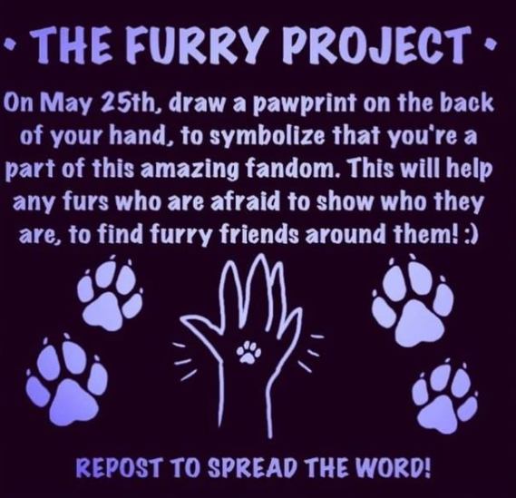 Horseii_'s tweet photo. saw this on instagram thought id spread the word, retweet if you can!!   #furryproject #furryfandom #furryart #thefurryfandom #furry https://t.co/ymKJ6RjFg5