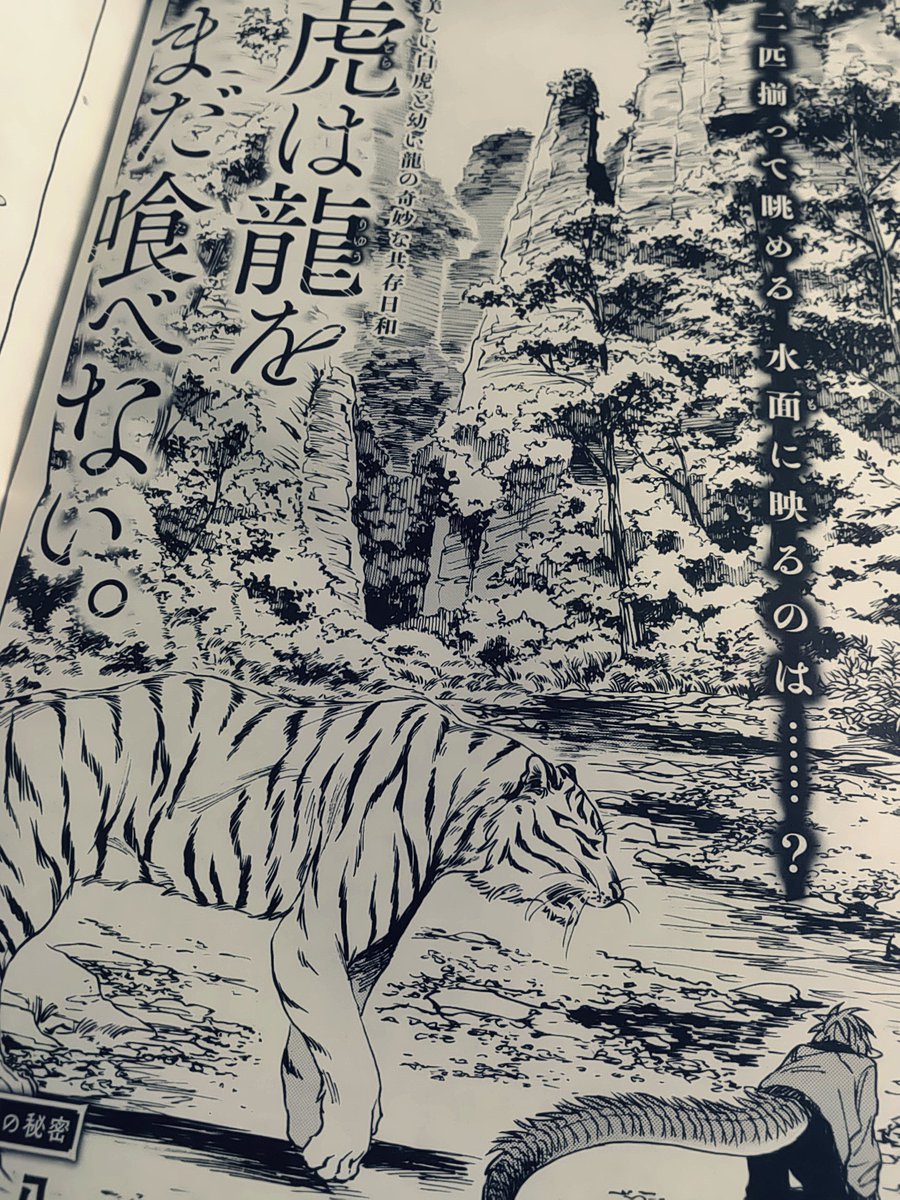 「虎は龍をまだ喰べない。」
5月14日発売のハルタ84号に第2話が掲載されております!
龍は虎の困った顔を見るとスイッチが入るようで…、相も変わらずな二匹の噛み合いをお楽しみいただければ幸いです!🐅💥🐉 
