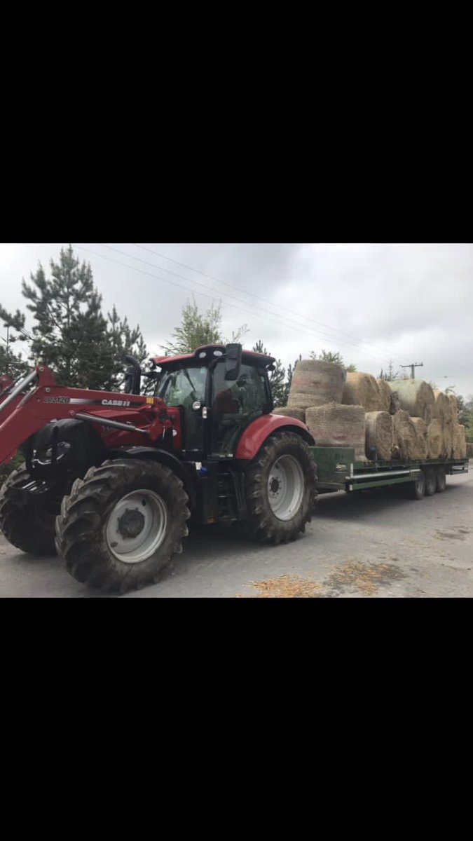 Maplehurst Farm tweet media