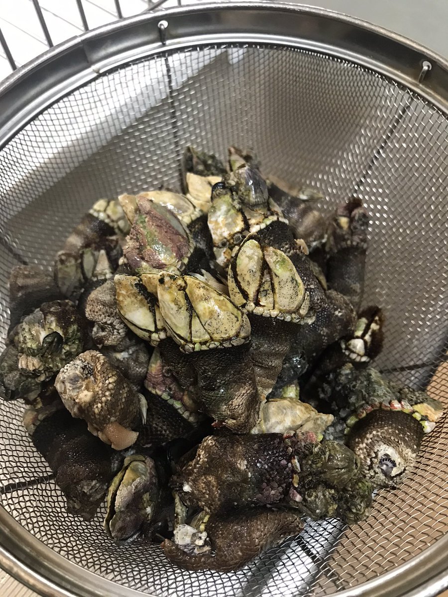 るねすた 趣味垢spoon垢 Aoi San 1216 Twitter