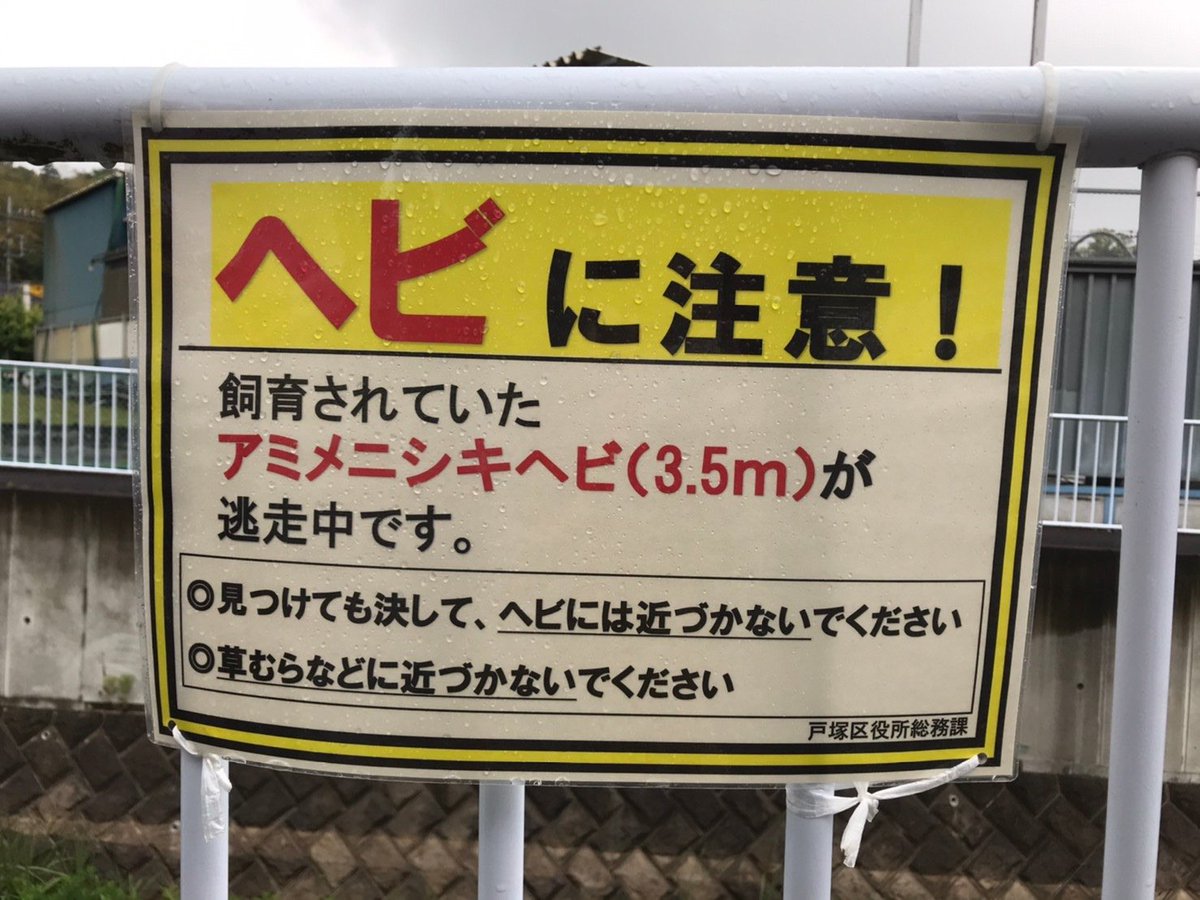 ついに横浜のニシキヘビが屋根裏で発見 以前から屋内に目星をつけていた専門家さんのツイートが再注目される Togetter