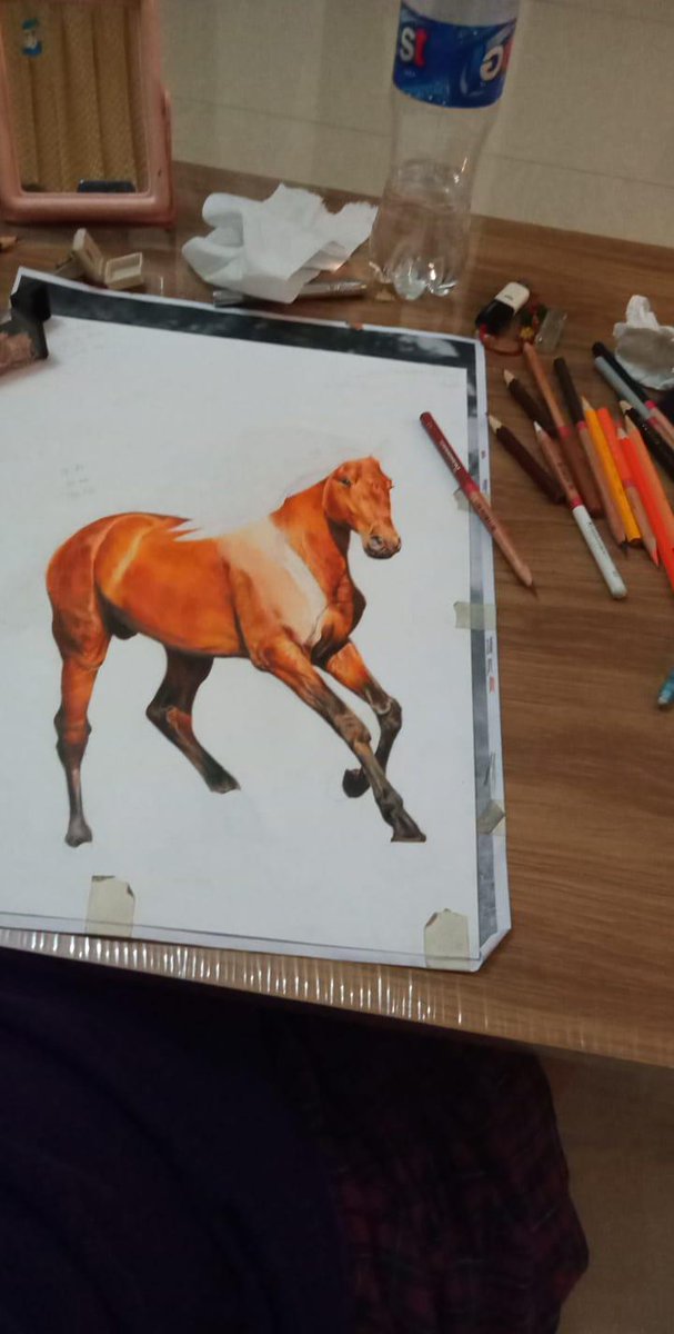 Tanutsky's tweet photo. น้องม้า #drawing #draw #สายผลิต #ชุมชนนักสร้างสรรค์ #drawingoftheday #drawing_classes https://t.co/3SVTM6xsDl