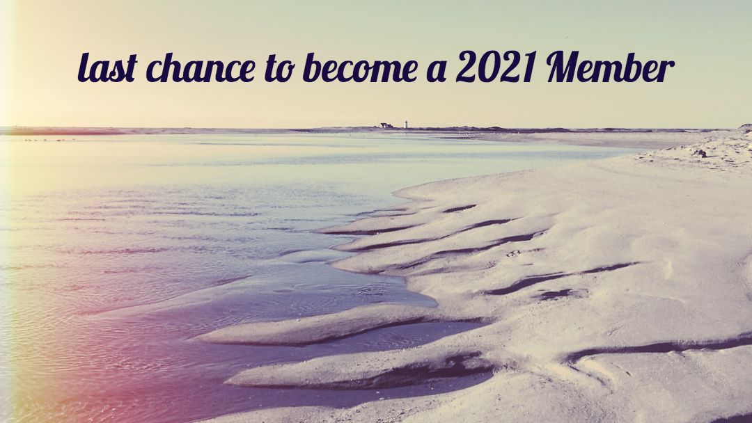 20summers's tweet photo. Don't miss your last chance to become a 2021 Member! Get Early Bird Access to tickets, invitations to special events and more. Help us build our first season of programing beyond the Barn this summer and fall. https://t.co/lxCfxB4fxR https://t.co/8zXvaCvZD3