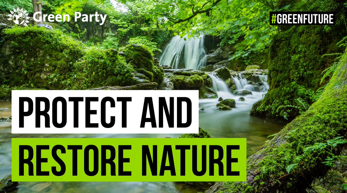 Protect and restore nature