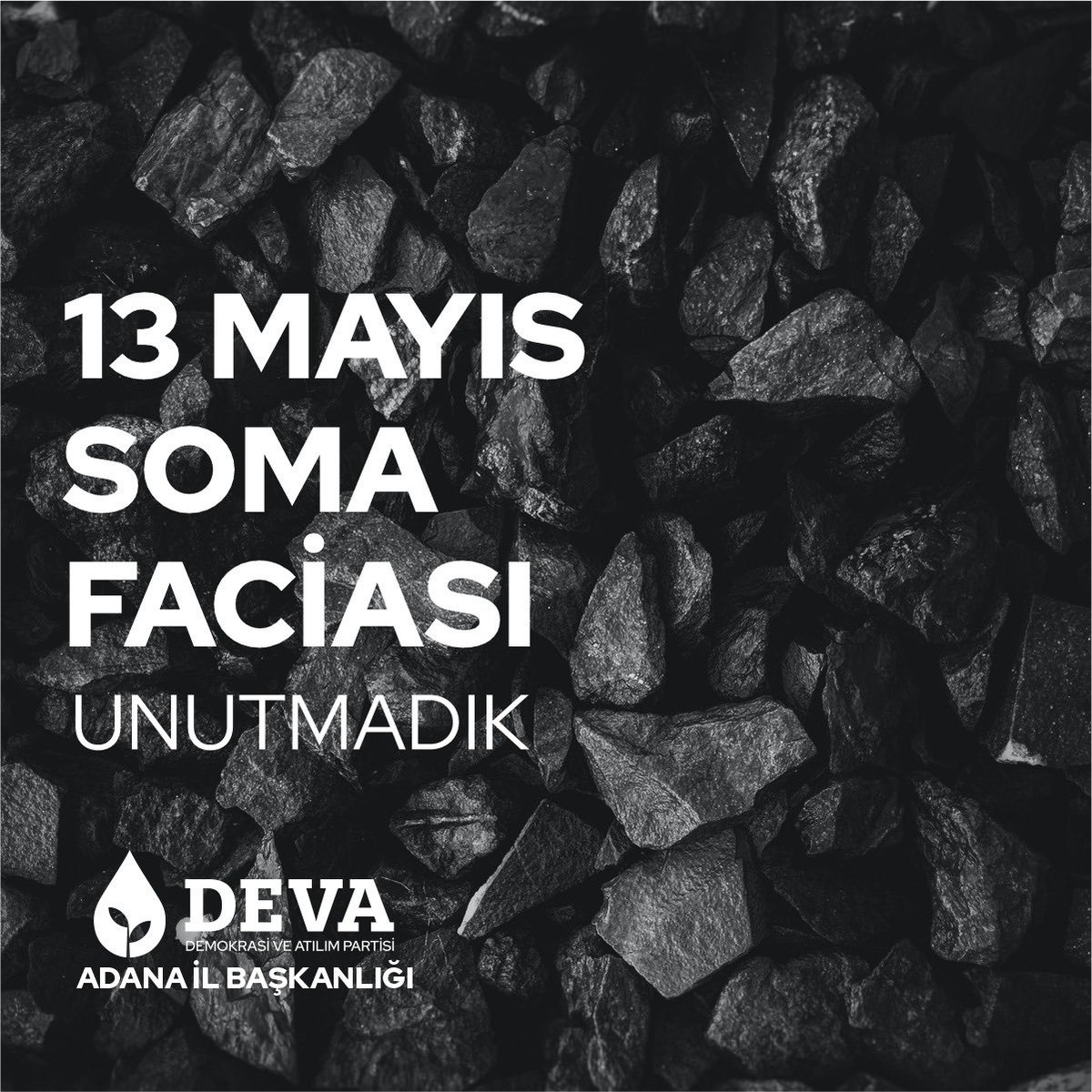 Lütfiye Nar tweet media