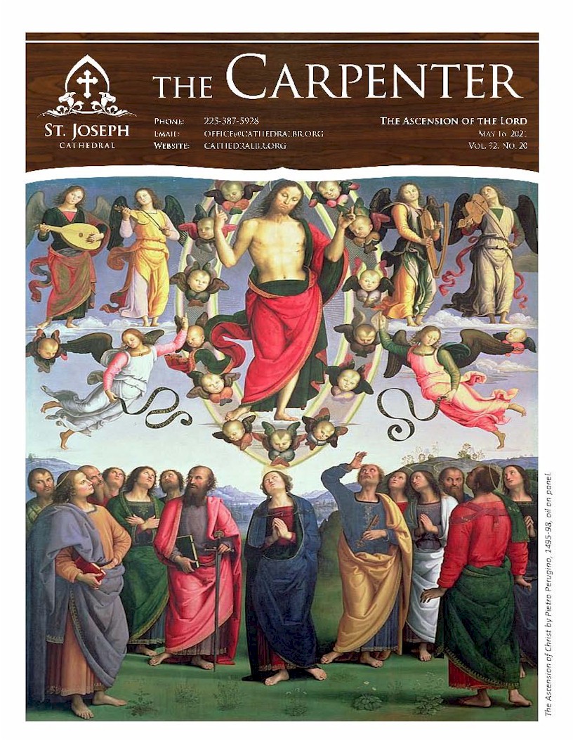 This coming weekend's edition of The Carpenter, our Parish bulletin, has been posted on our website for your reading pleasure!  Go to bit.ly/2MXOimN