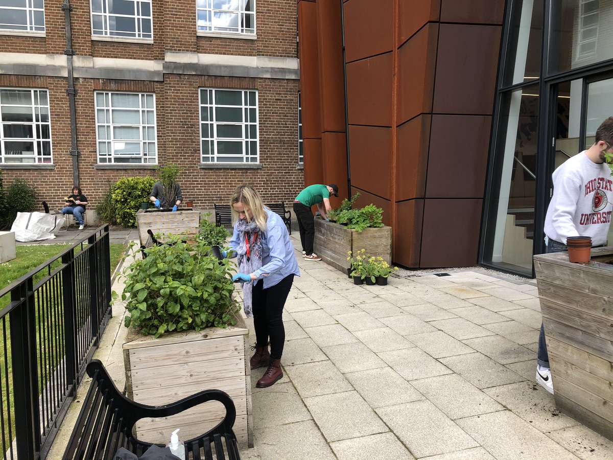 Green at Queen's (@greenatqueens) on Twitter photo The <a href="/QUBCCE/">QUB - Chemistry & Chemical Engineering</a> Green Team & their PhD students have been busy planting in the DKB Quad as part of #MentalHealthAwarenessWeek
They planted a range of pollinators for our insects, whilst taking an important break from their busy lives 🐝🌱
Thank you for all your help!
<a href="/QUBWellbeing/">QUB Student Wellbeing 🧠🎓</a> The <a href="/QUBCCE/">QUB - Chemistry & Chemical Engineering</a> Green Team & their PhD students have been busy planting in the DKB Quad as part of #MentalHealthAwarenessWeek
They planted a range of pollinators for our insects, whilst taking an important break from their busy lives 🐝🌱
Thank you for all your help!
<a href="/QUBWellbeing/">QUB Student Wellbeing 🧠🎓</a>