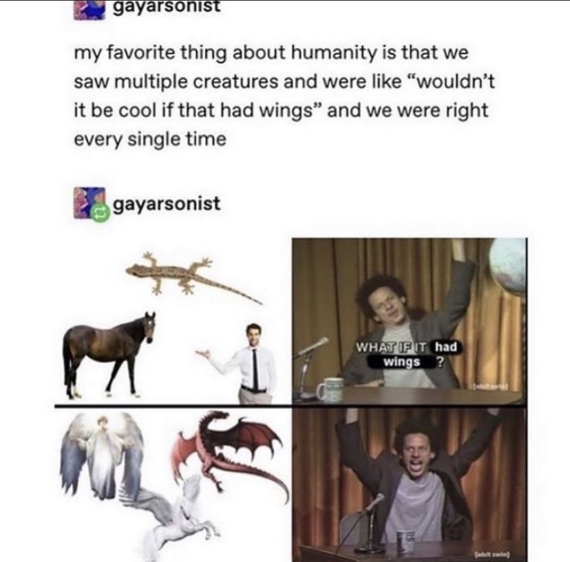 WholesomeMeme tweet picture