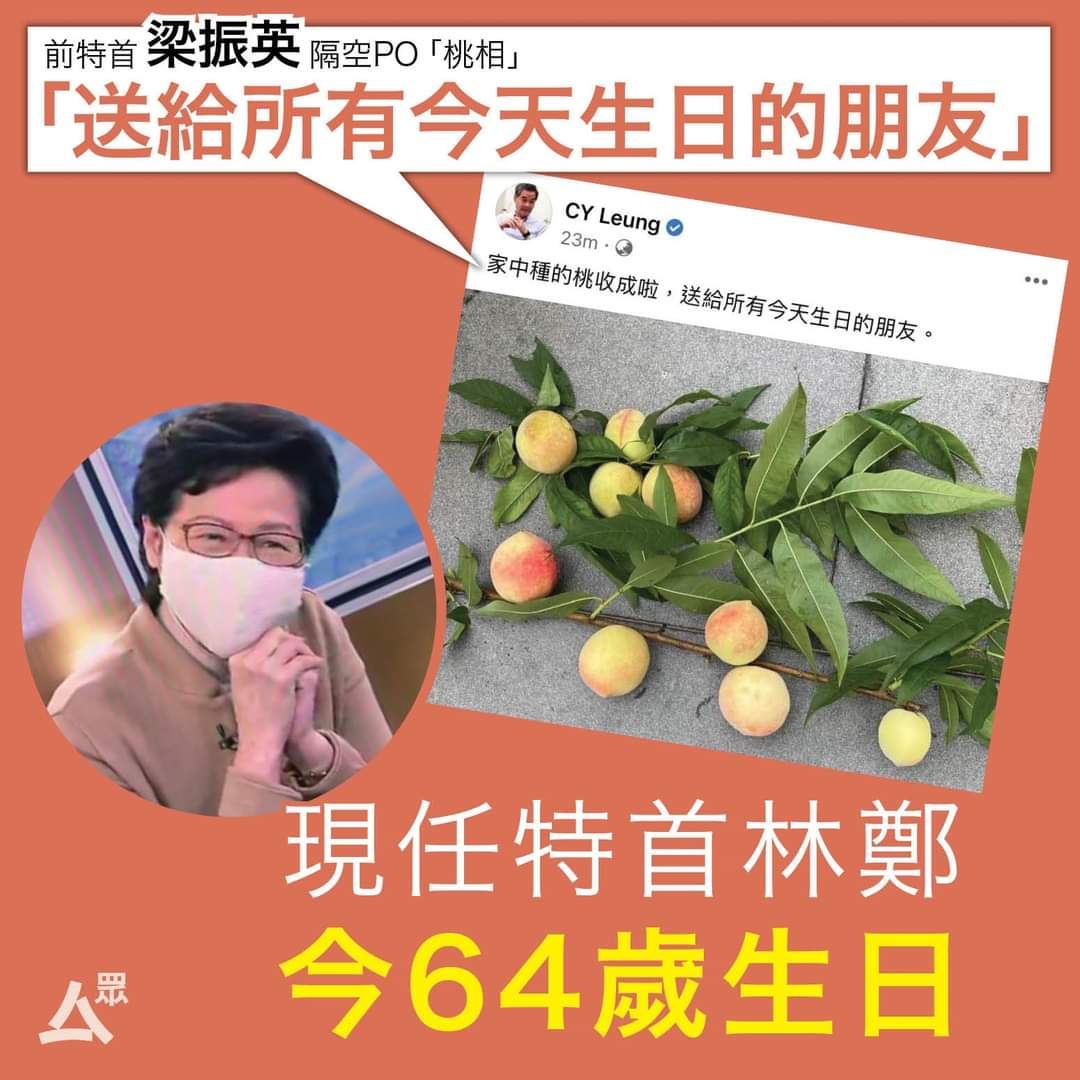 Meow ᕦ⊙෴⊙ᕤ tweet media