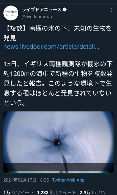 すべてはゼーレのシナリオ通りだったか 碇 あぁ