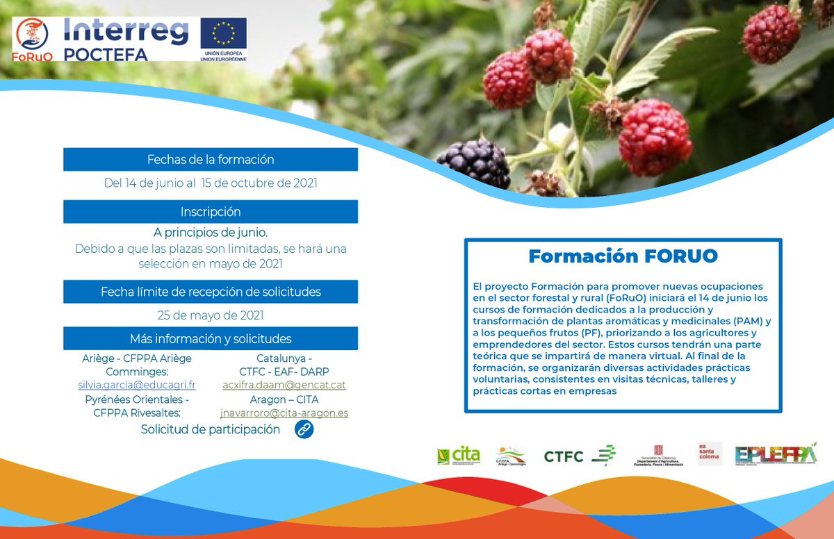 Juliana Navarro tweet media