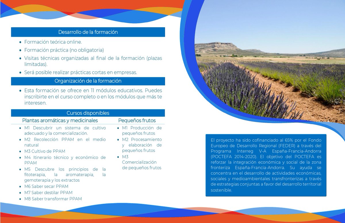 Juliana Navarro tweet media