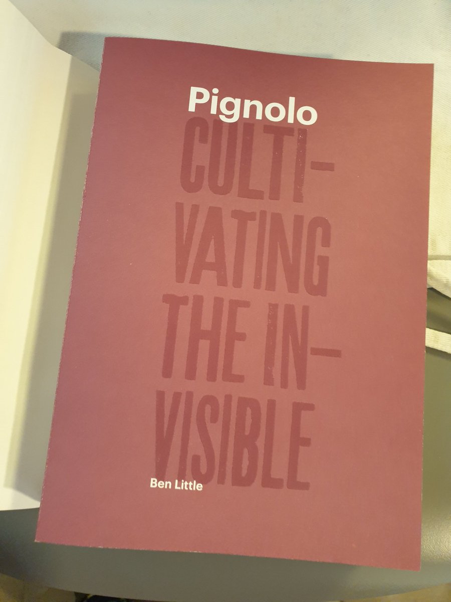 Have you met Ben? He is the mind and all of the heart contained in this book of wonders.  Pignolo will have now its preciousness unveiled in a such a joyful and high quality narrative. Good job @THENATIVEGRAPES and editor @simonjwoolf