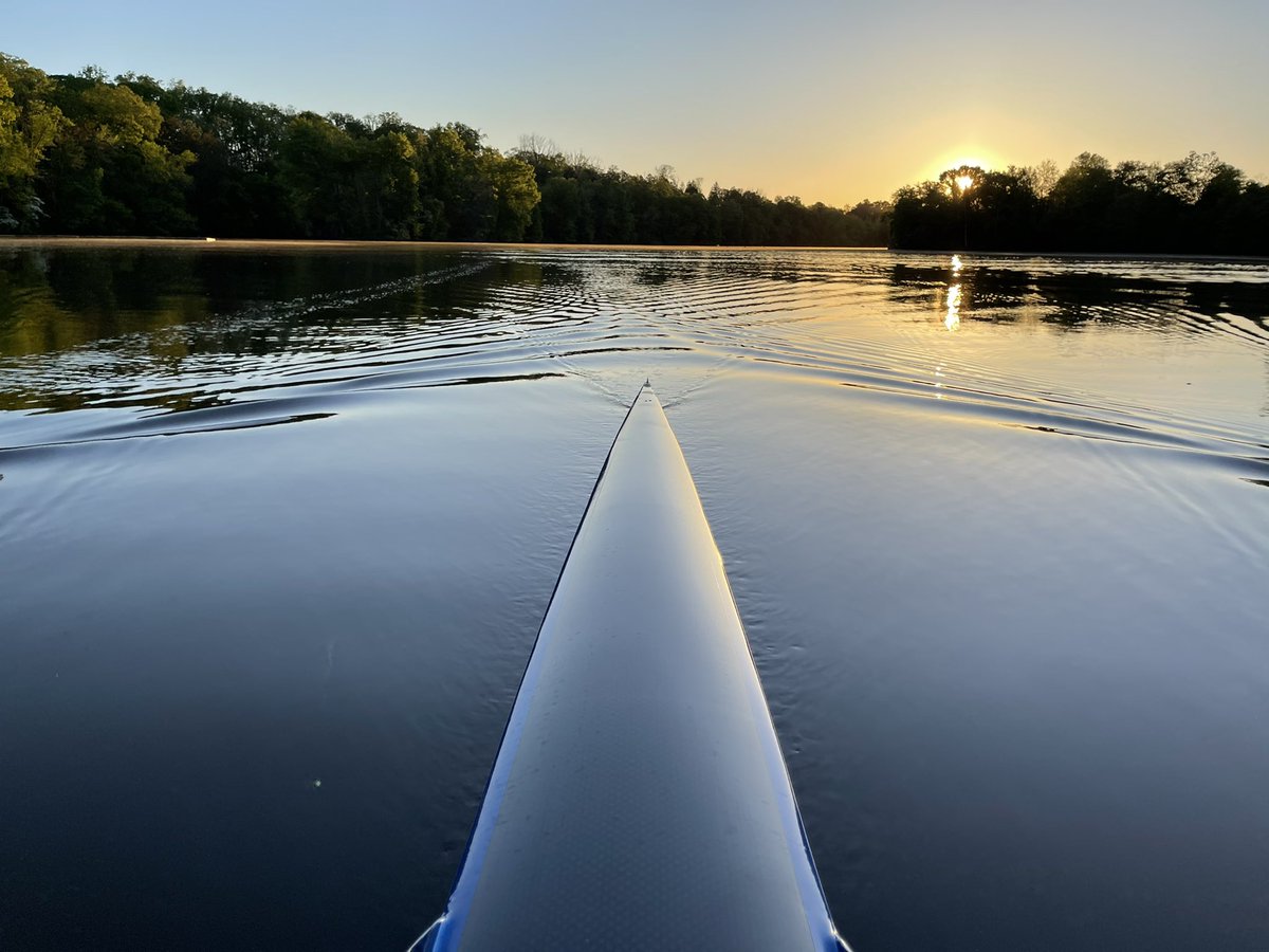 Allison Mueller tweet media