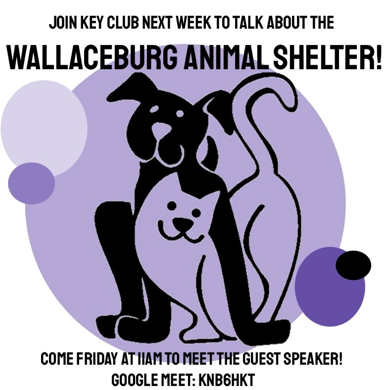 VLHSlkdsb (@svirtualvlh) on Twitter photo 