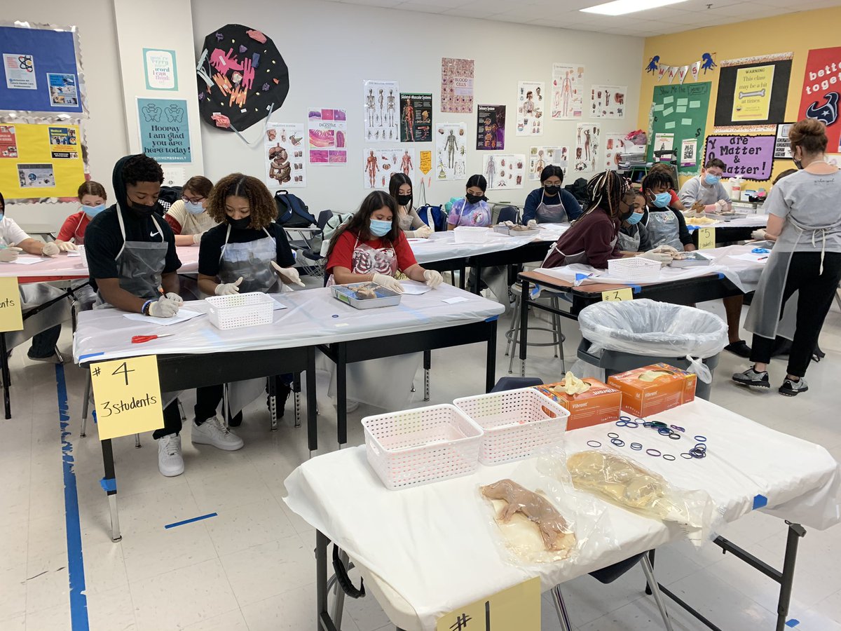 Its a great morning of dissections in <a href="/mrs_cpauly/">Mrs. Pauly</a> class! These students are applying a wealth of skills learned this year to their fetal pigs! Exciting things taking place in A219! <a href="/ManvelHS/">Manvel High School</a> <a href="/ManvelHOSA/">Manvel HOSA</a> <a href="/AISDCTE/">Alvin ISD CTE Department</a>