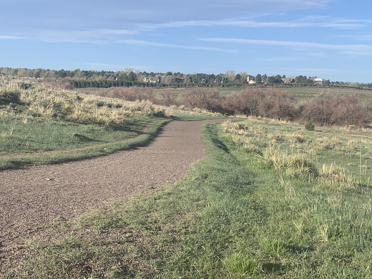 All that rain, and now all that green! #Colorado