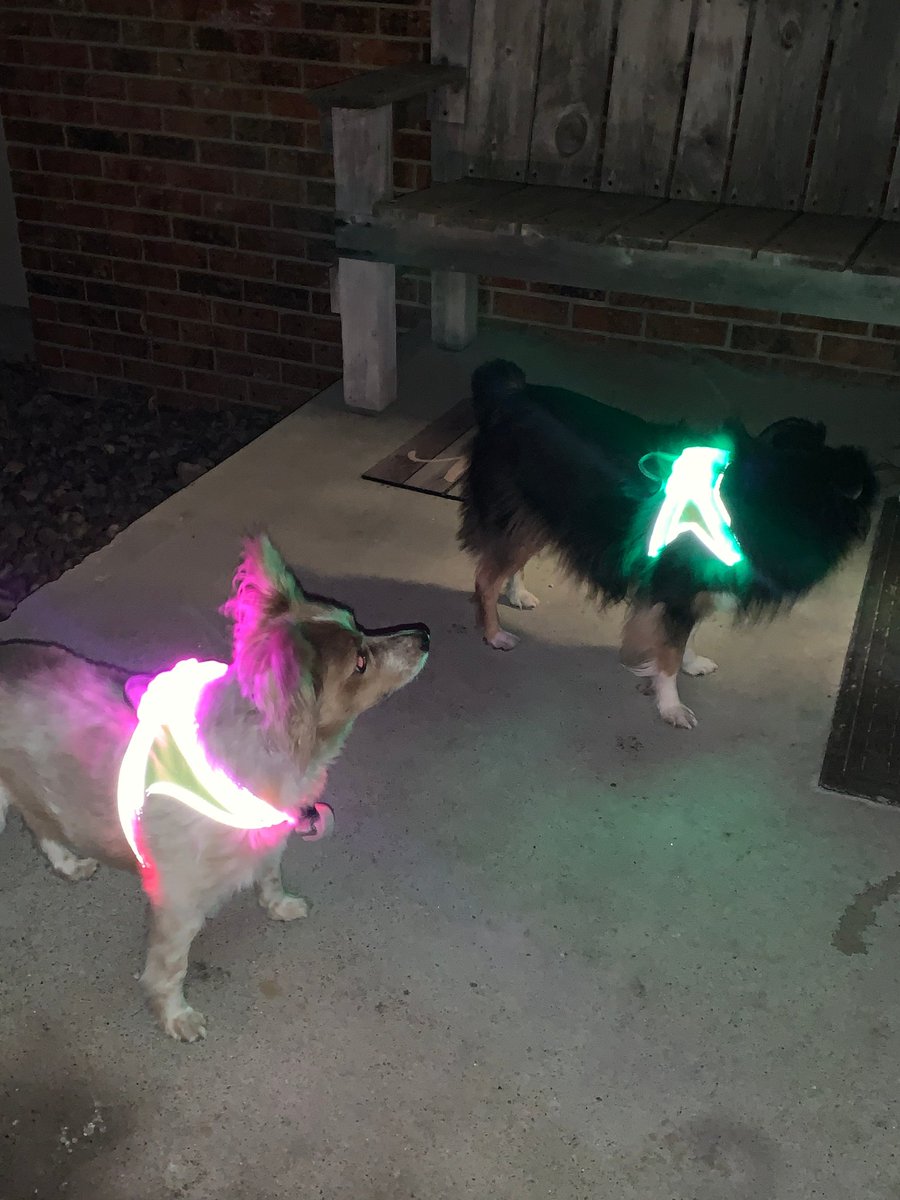 Hey #noxgearnation! Meet Ambassador Lexie!

"I live in Gillette, Wyoming and love the Noxgear products for running and walking with my dogs! I feel so much safer on our roads while wearing my Noxgear vest."

Follow Lexie on Instagram: @lexburg