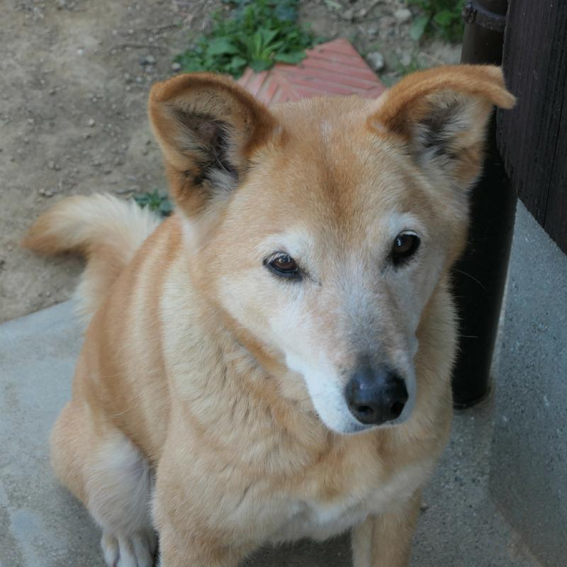 佐世保市保健所 Twitter Search Twitter