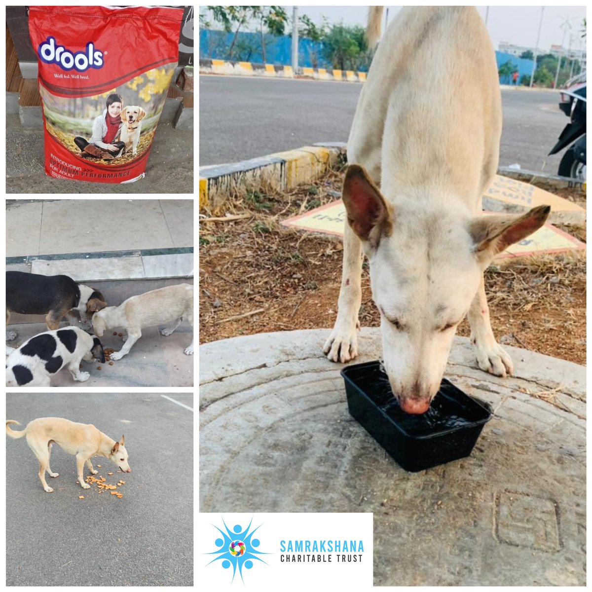 Hunger is a universal feeling of all living beings. Let’s open our hearts and feed every stray dog. 

Online Bank Transfer:

A/C Name: V Sravan Kumar 
A/c: 5512597277
Bank Name: Kotak bank
IFSC code: KKBK0007462

PhonePe/Gpay:  9704702306

#feeddogs #covid19helpindia #samrakshana