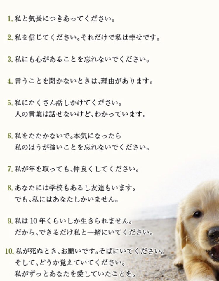 تويتر 左伴彩佳 على تويتر 愛犬の日 映画 犬と私の10の約束 の言葉がすごく心にグッと来るんだよなあ 今飼ってるチョコもクロも 天国にいるモコも大事な大事な家族だよ T Co Ylo7ntqyii