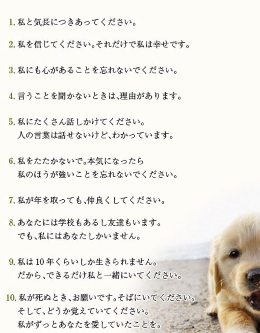 左伴彩佳のtwitterアーカイブ Arkaibu Project48 左伴彩佳のtwitterアーカイブ Arkaibu Project48