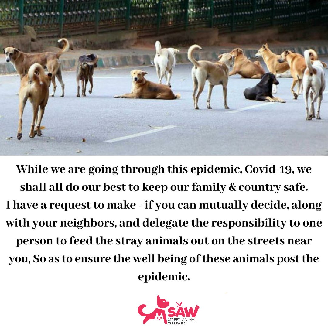 STREET ANIMAL WELFARE tweet media