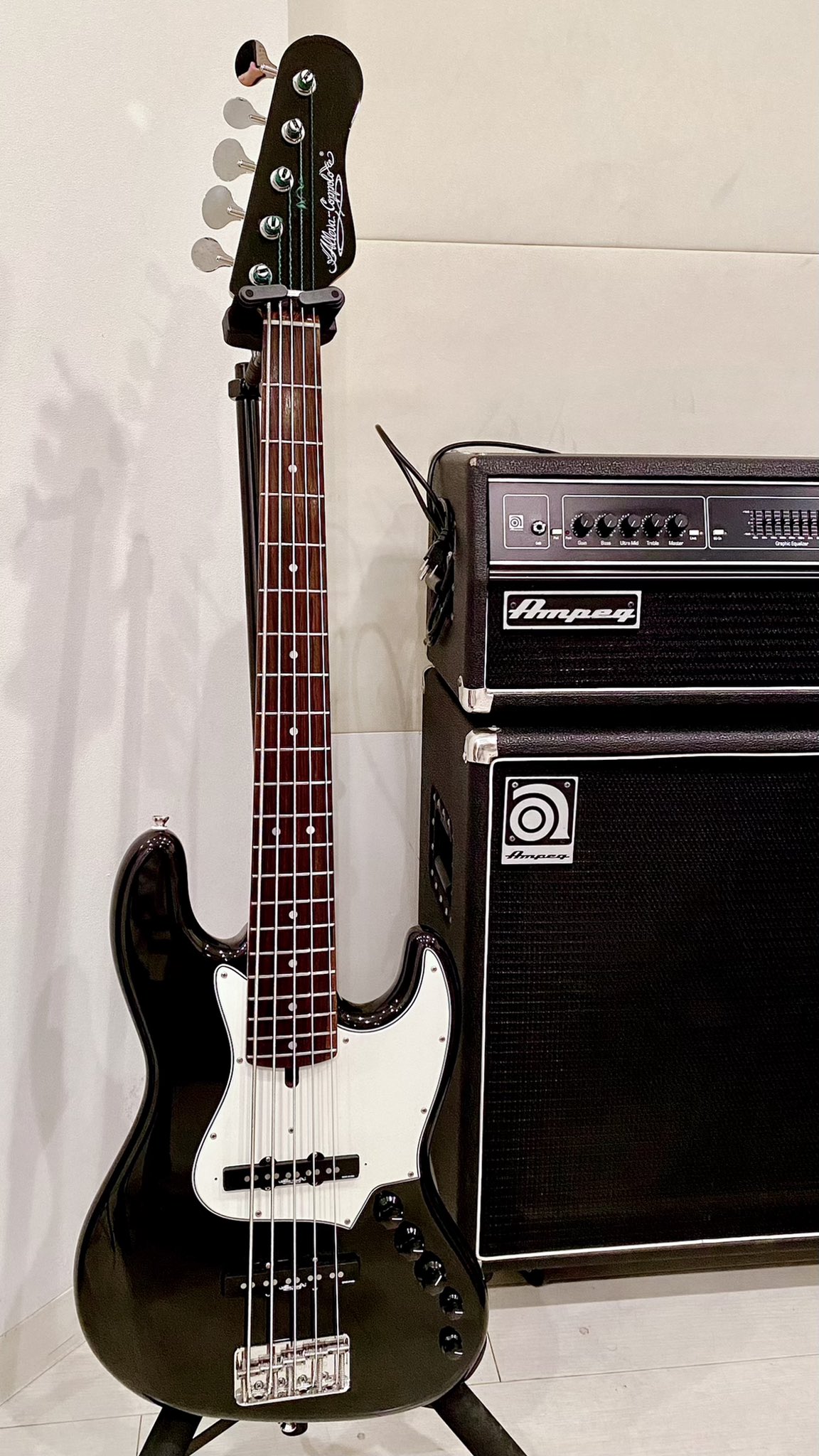 Alleva-Coppolo Basses | クロサワ楽器お茶の水駅前店ベース専門館